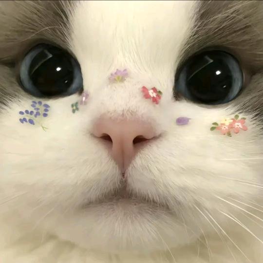 钮钴禄·扭