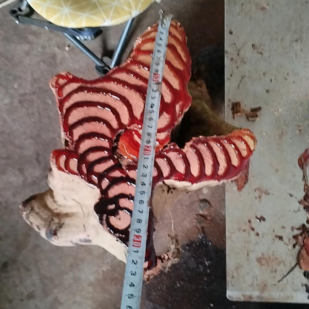 山貨经营部59號