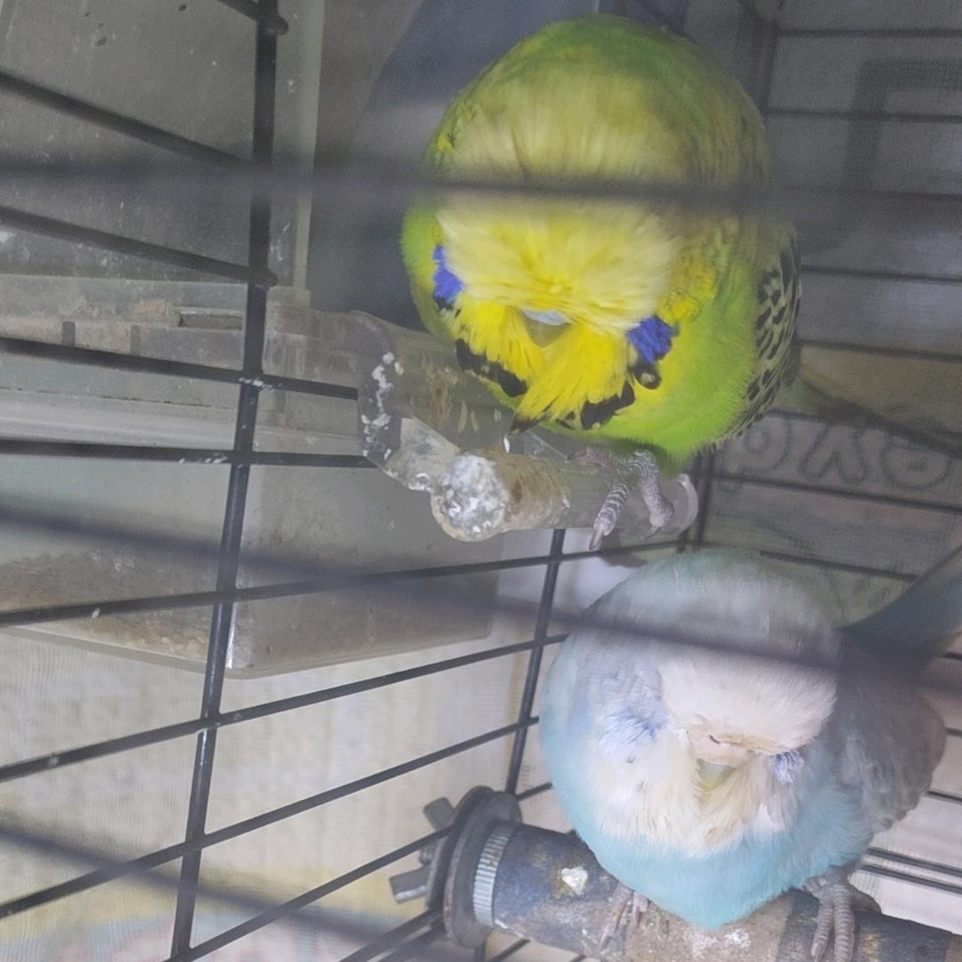 哥锝☜任性@只有姐懂……