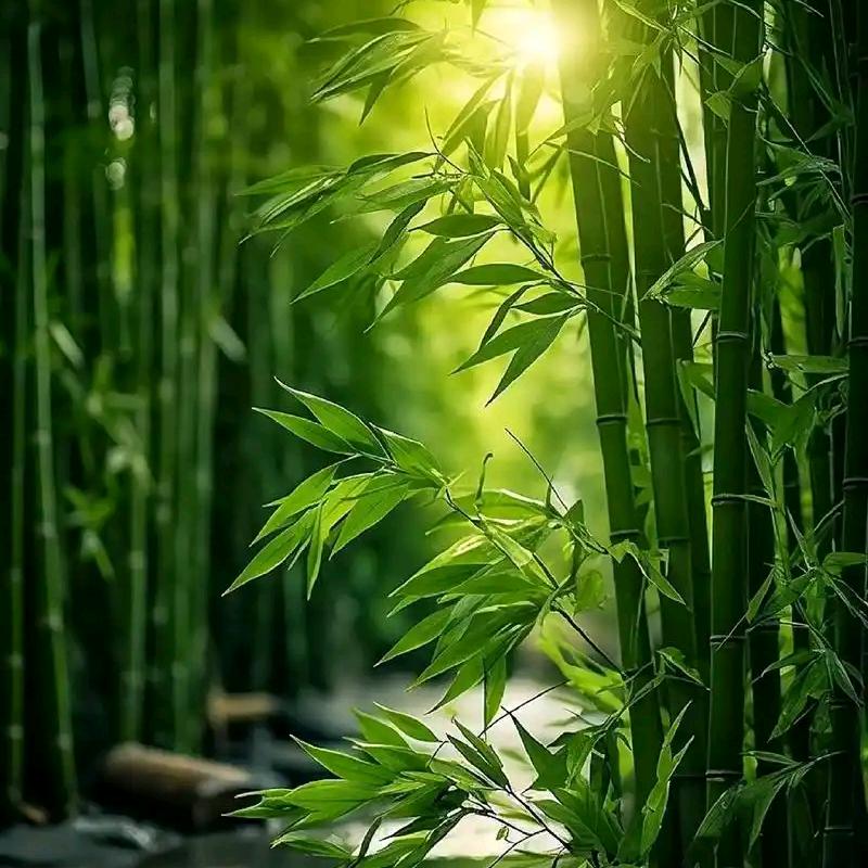 阳扬得亿