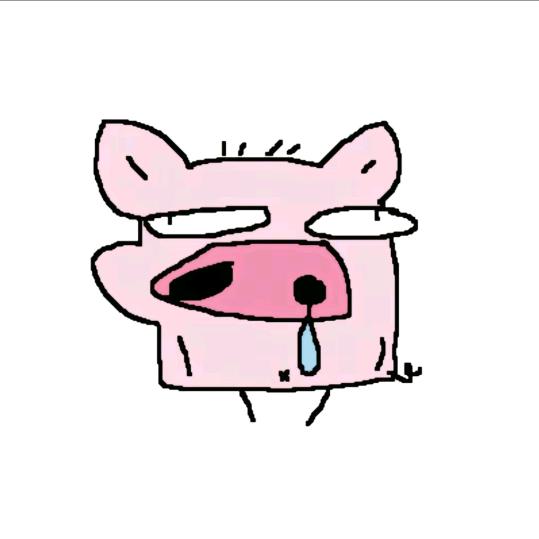 奇妙小猪