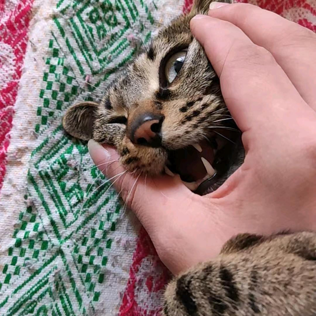 今天到这刚刚好