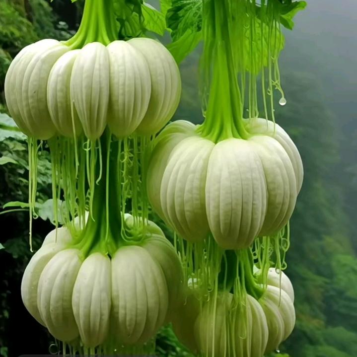 梦想奋斗