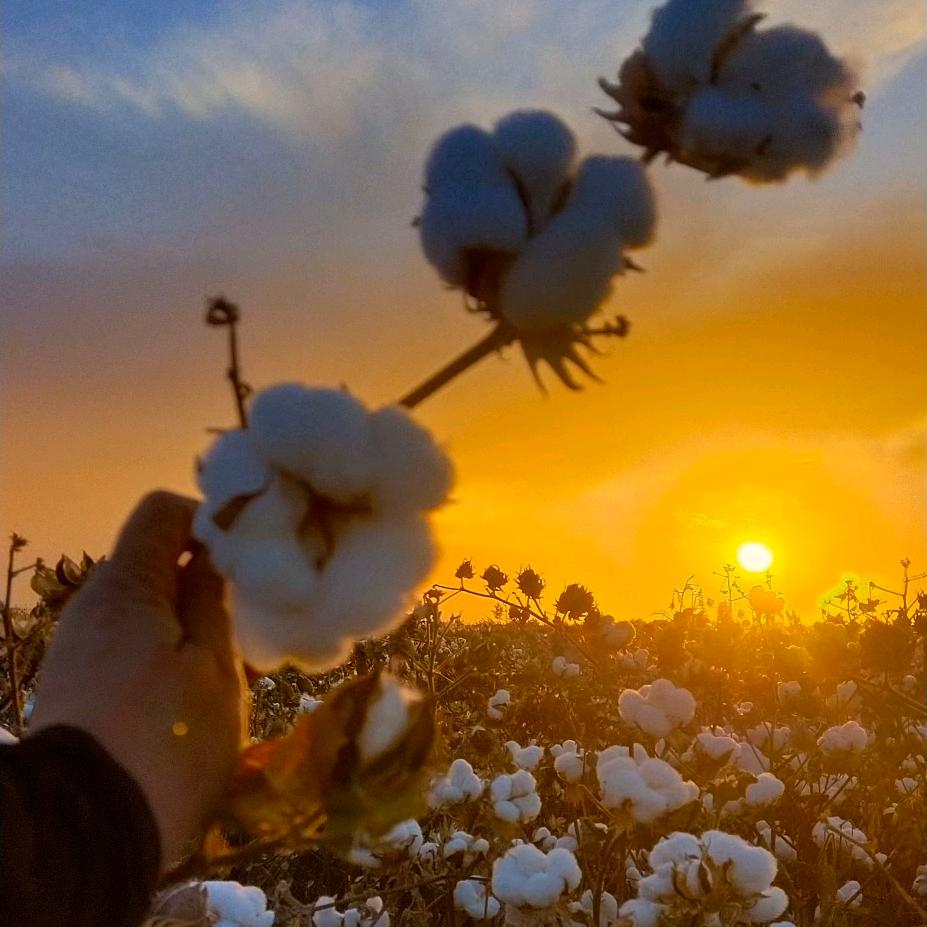 @سىرلىق قەلىپ