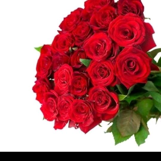 开心快乐每一天