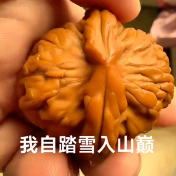 以核为贵