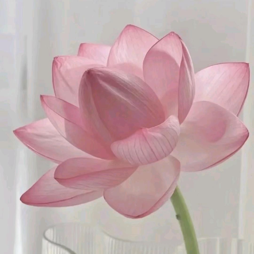 不染^O^