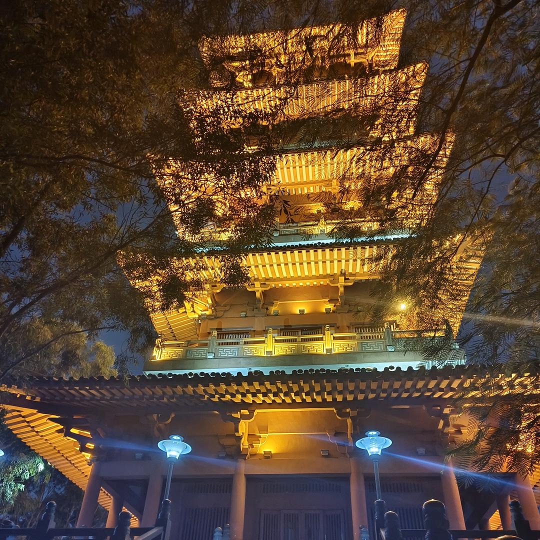 人在风中走飘逸人世间