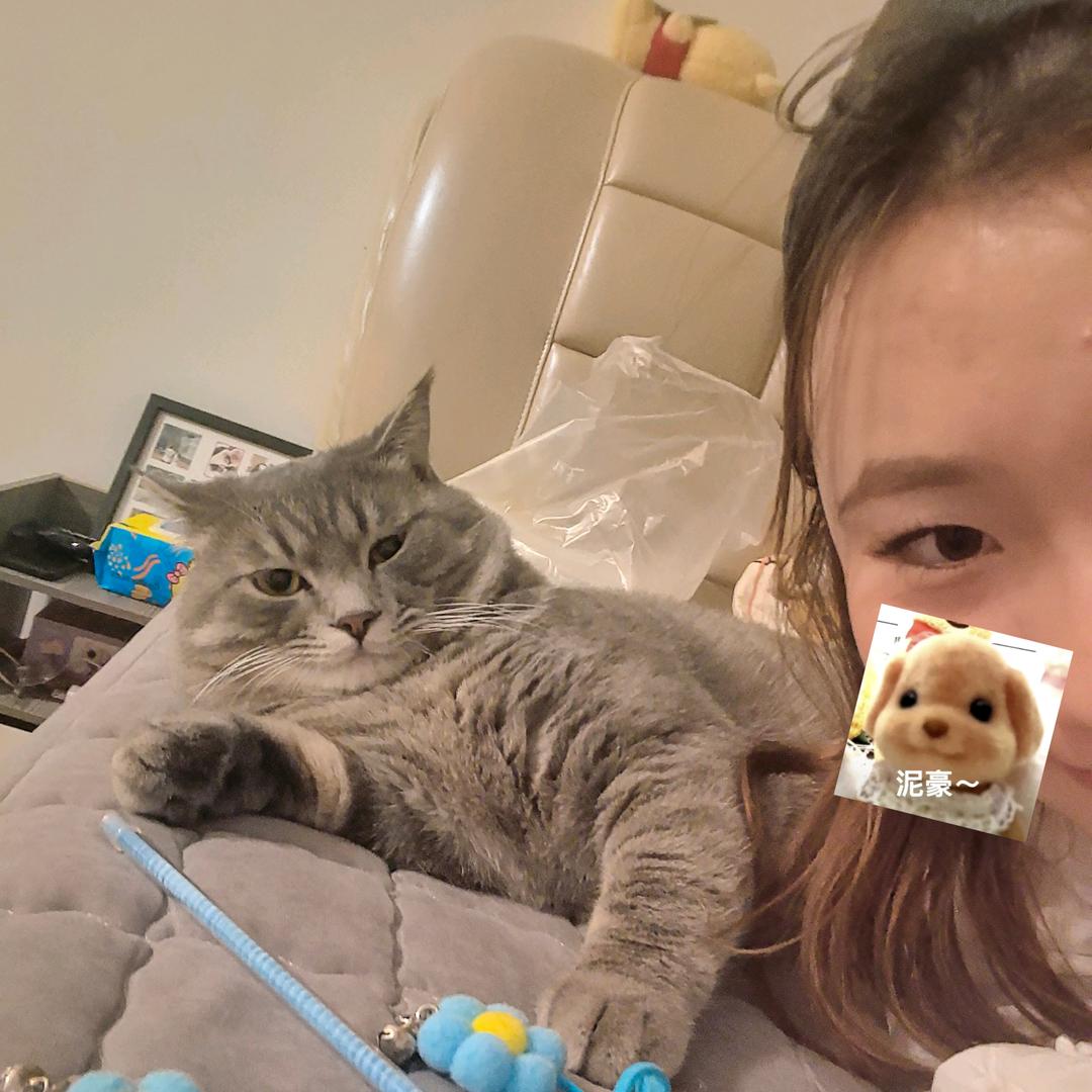 面条是只猫