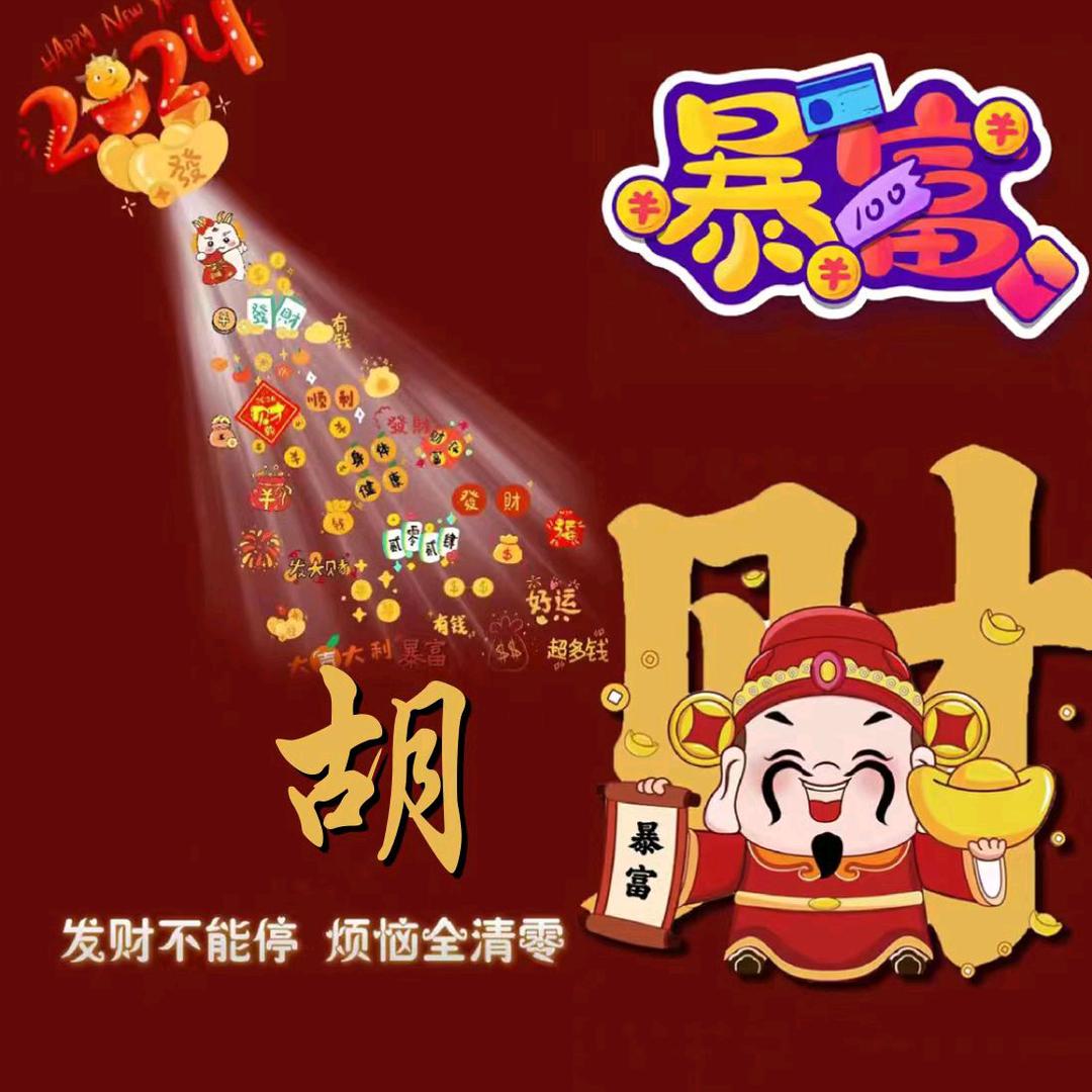 我心飞翔--老胡