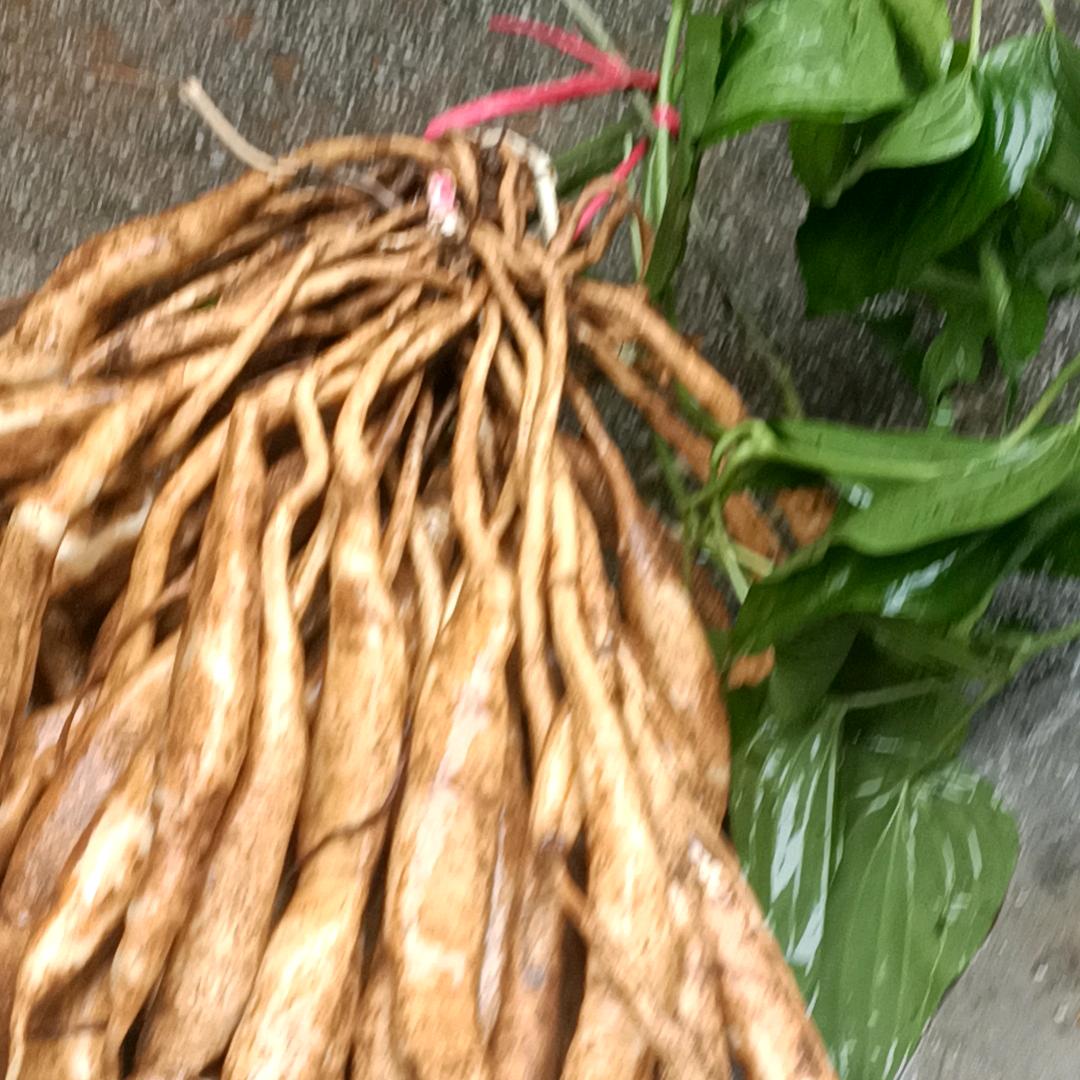 张正堂精品小铺子