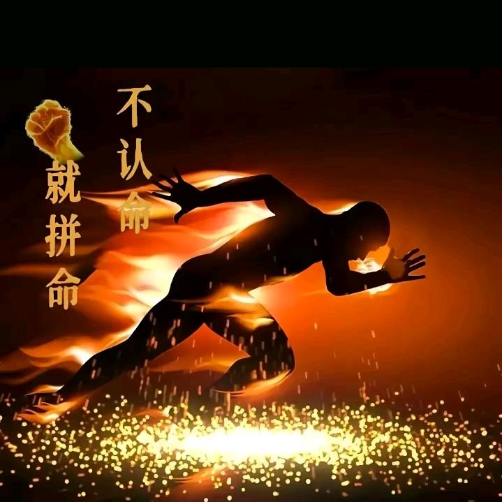风雨无情