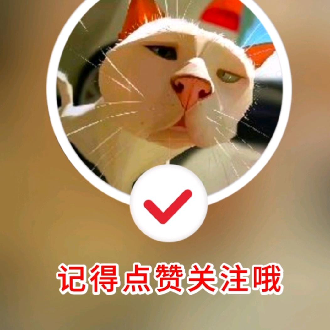 小玉郁金国