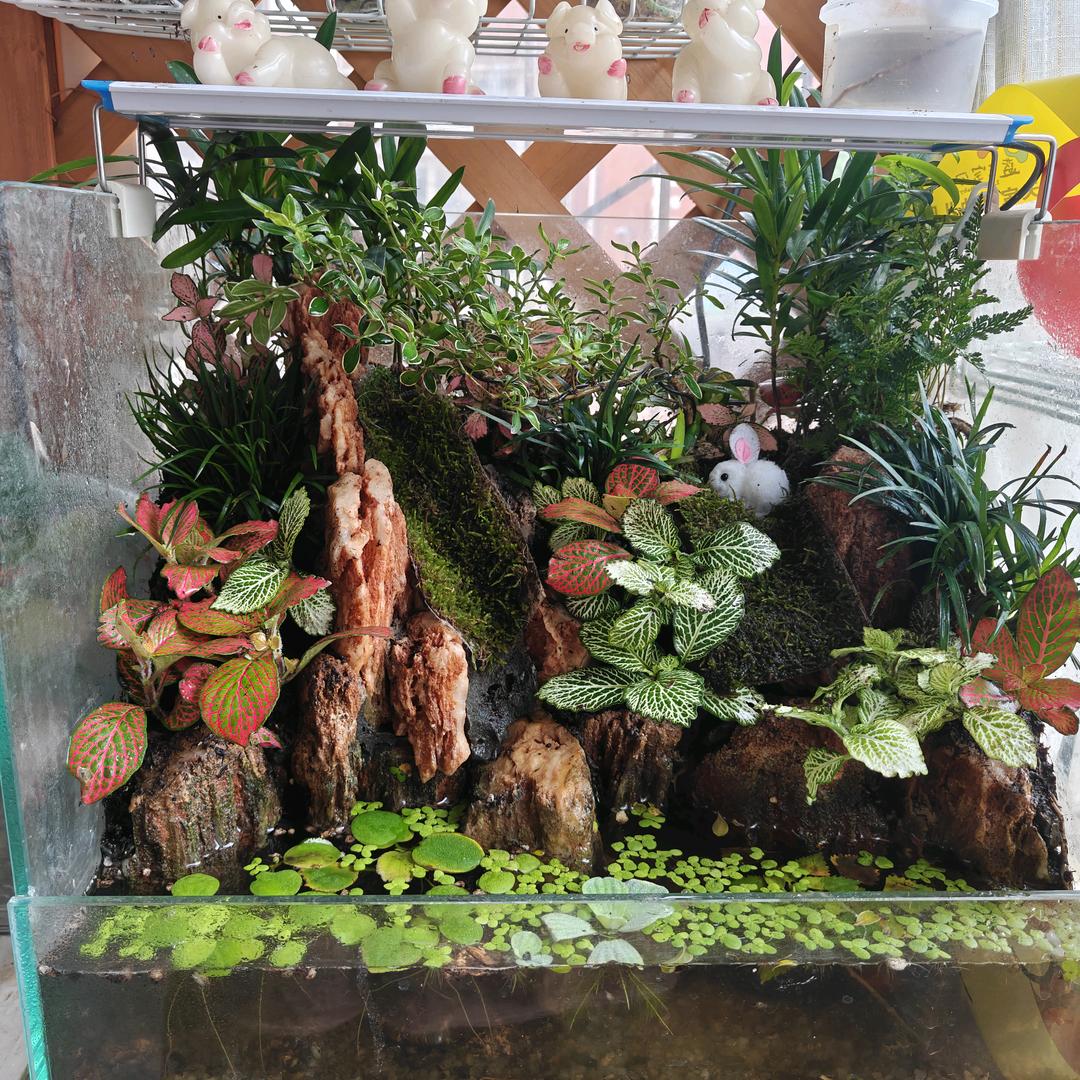 风车岛