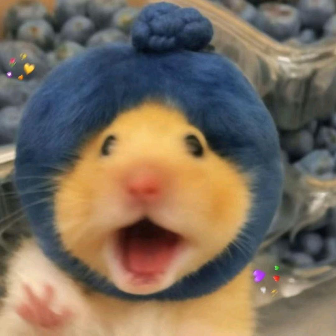 桉笙（出熊）