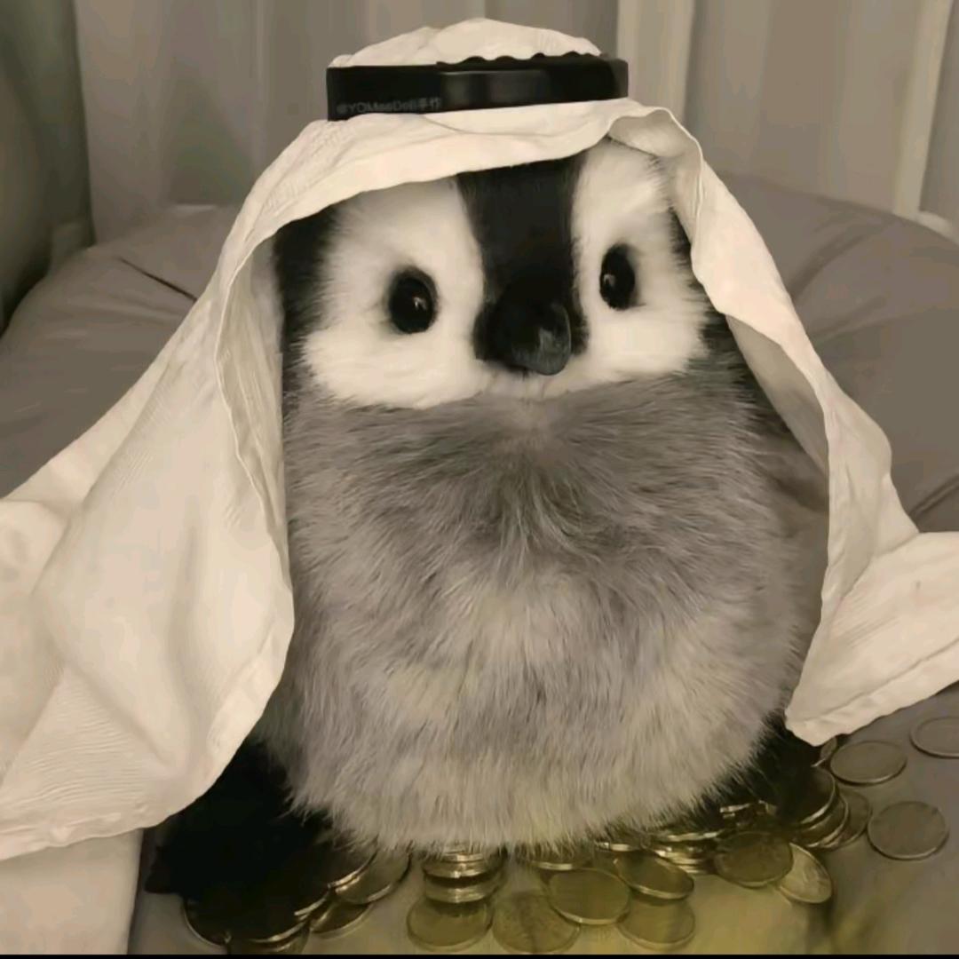 李不怂