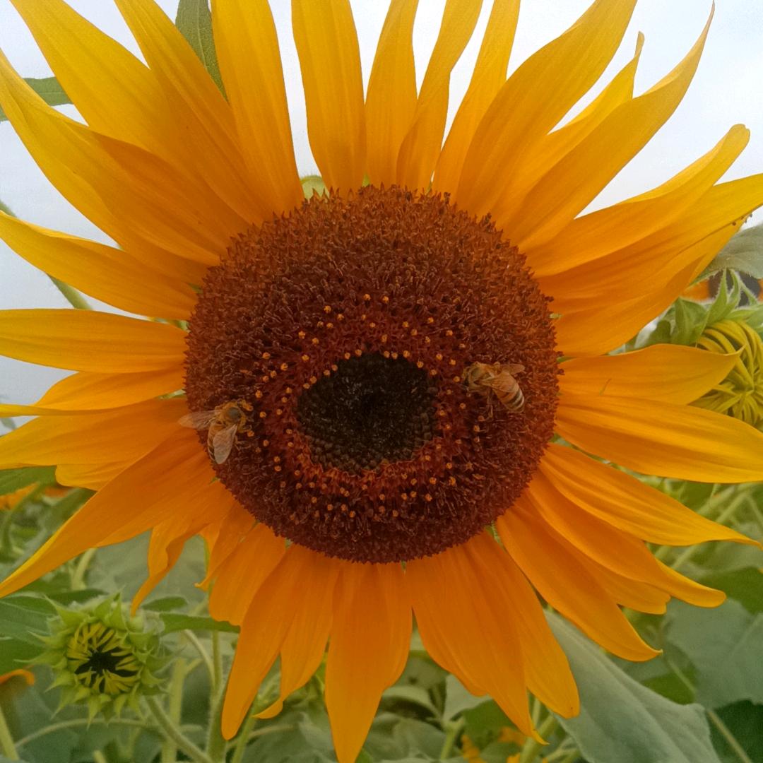 做个坚强的女人