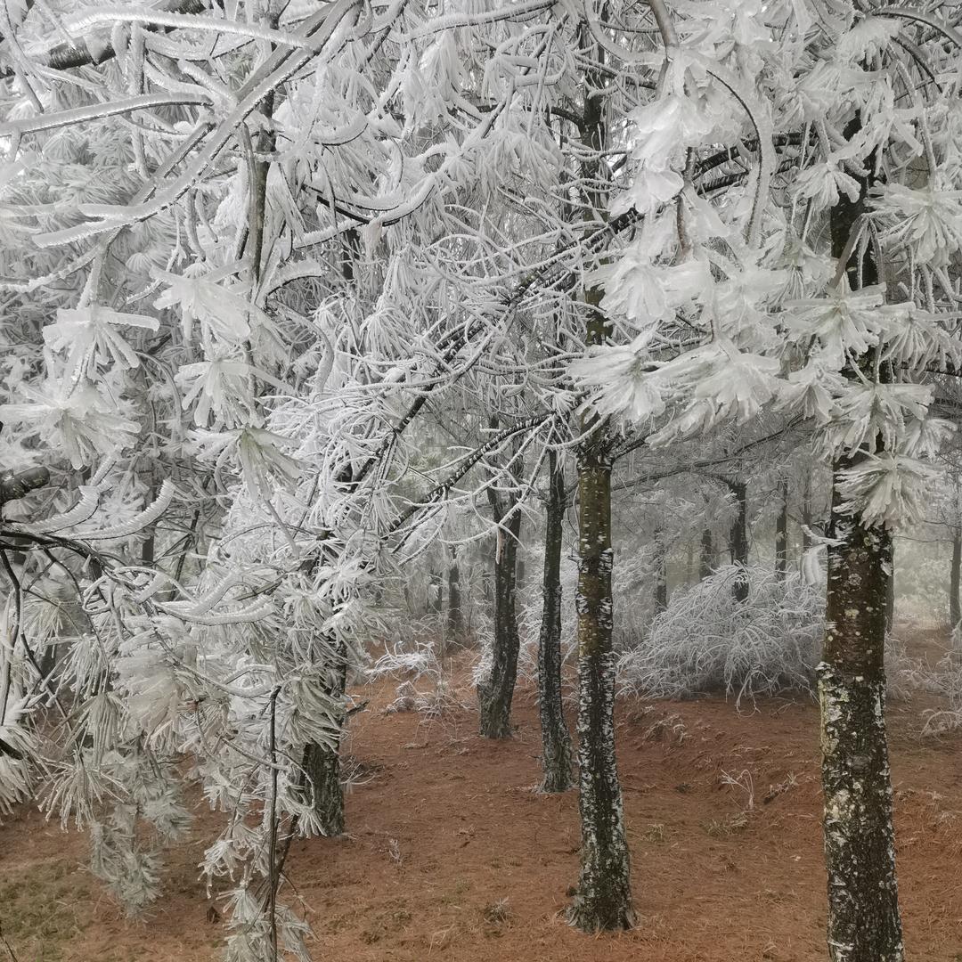 多次婉拒刘亦菲