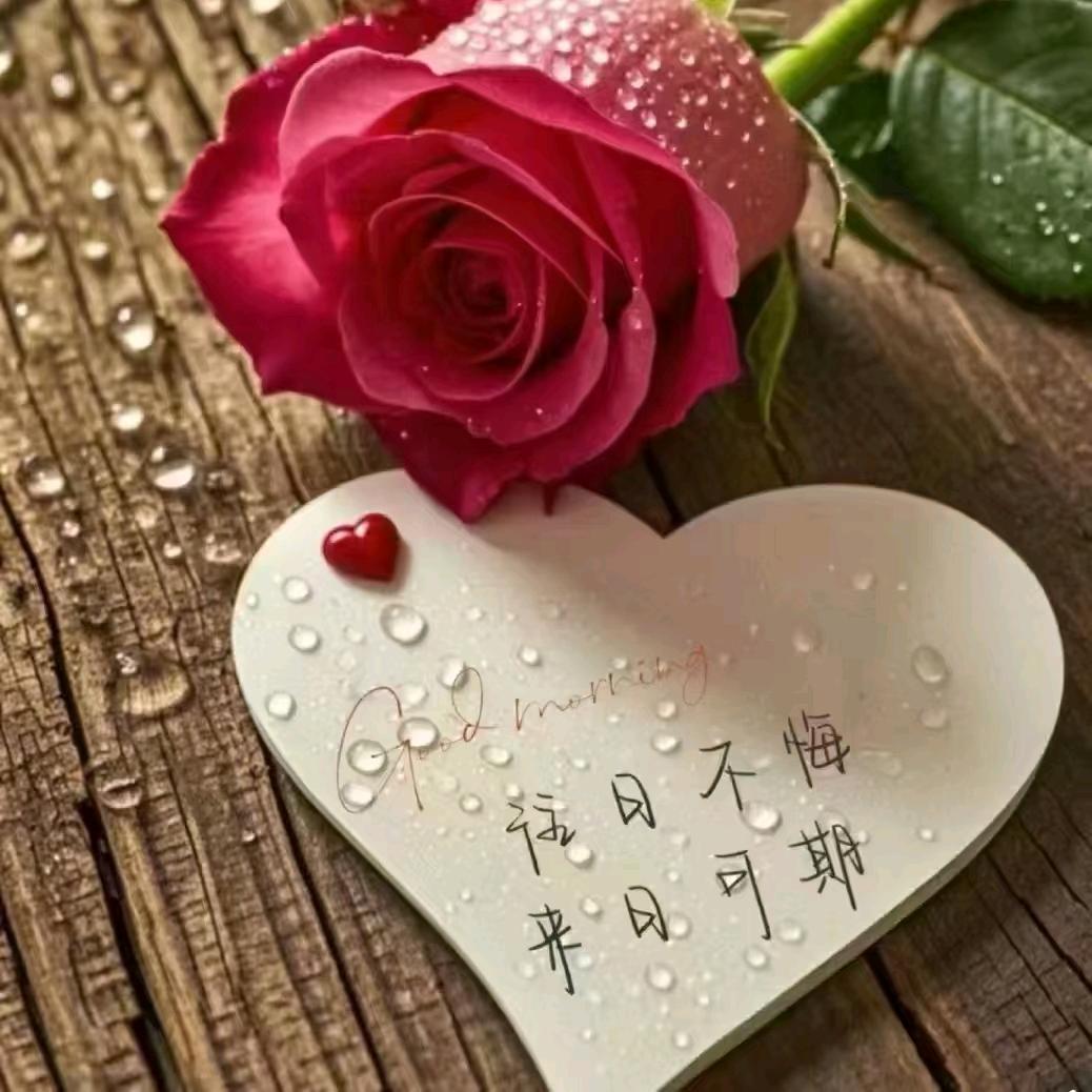 小月小月🐘（记录生活）拒聊