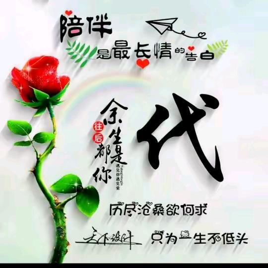 蒙城代哥