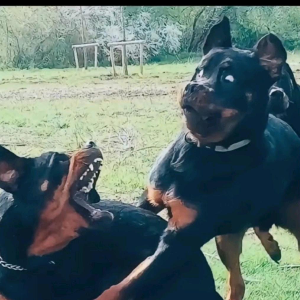 - ̗̀ ☺︎ ̖́-冬日暖阳