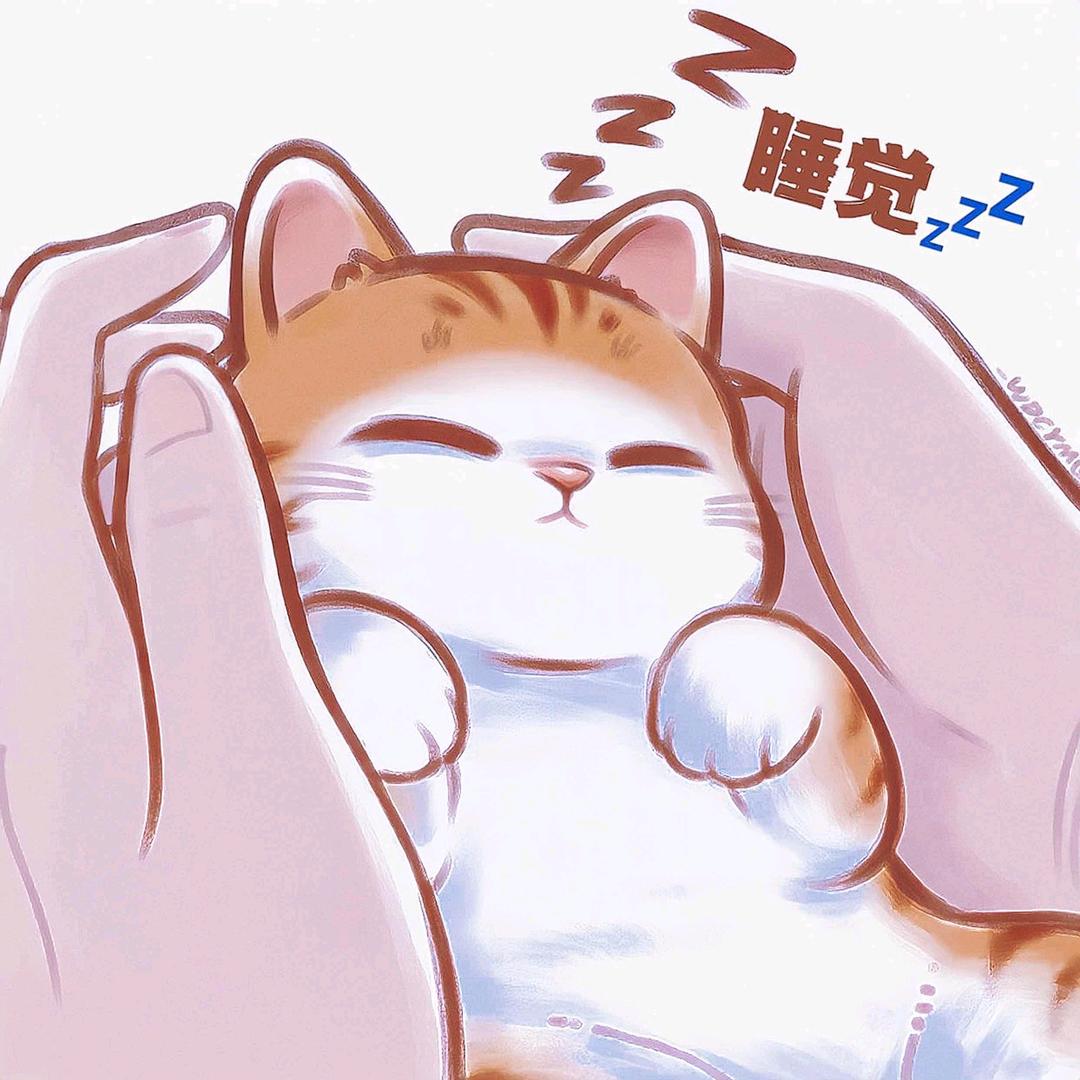 甜豆小卷