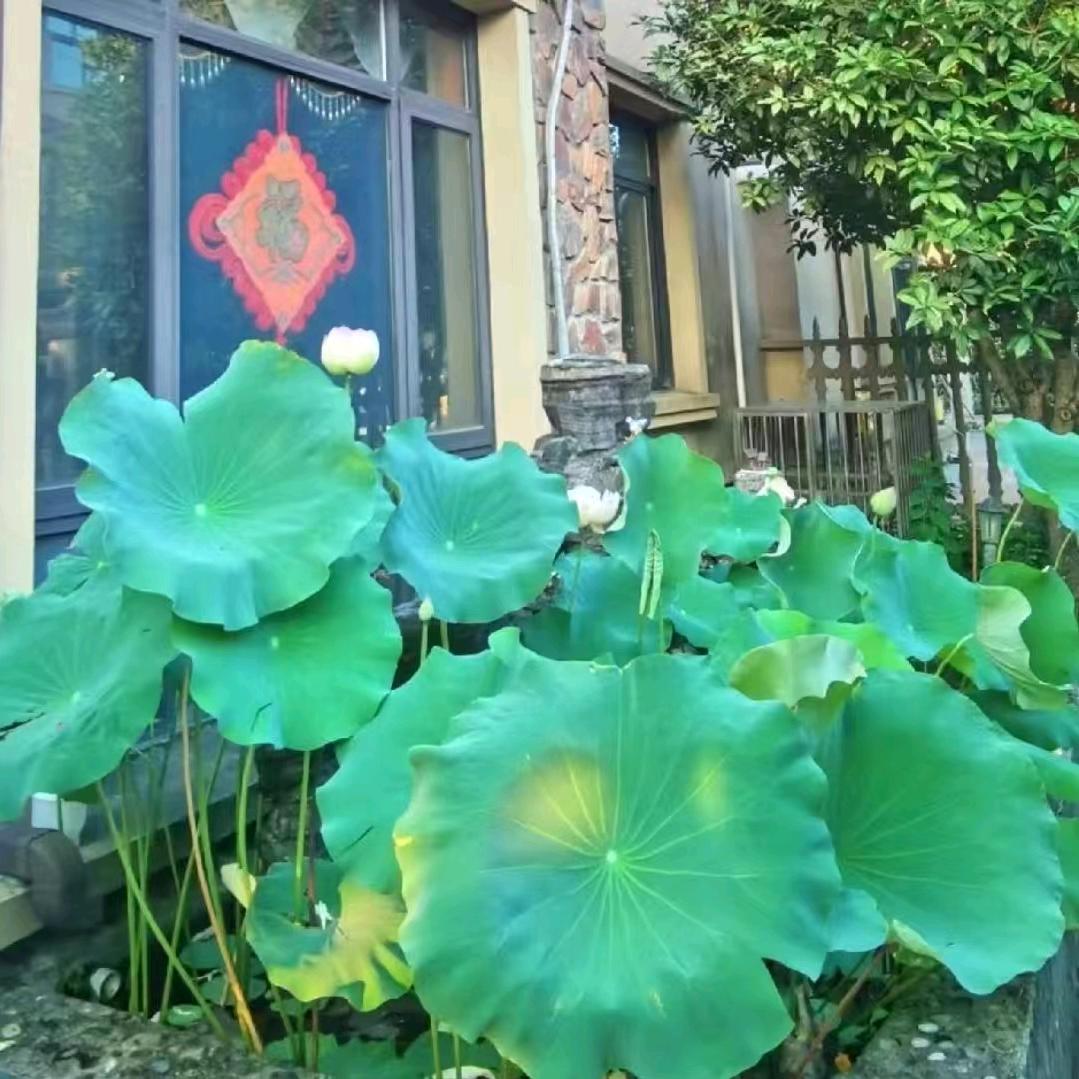 幸福一家！