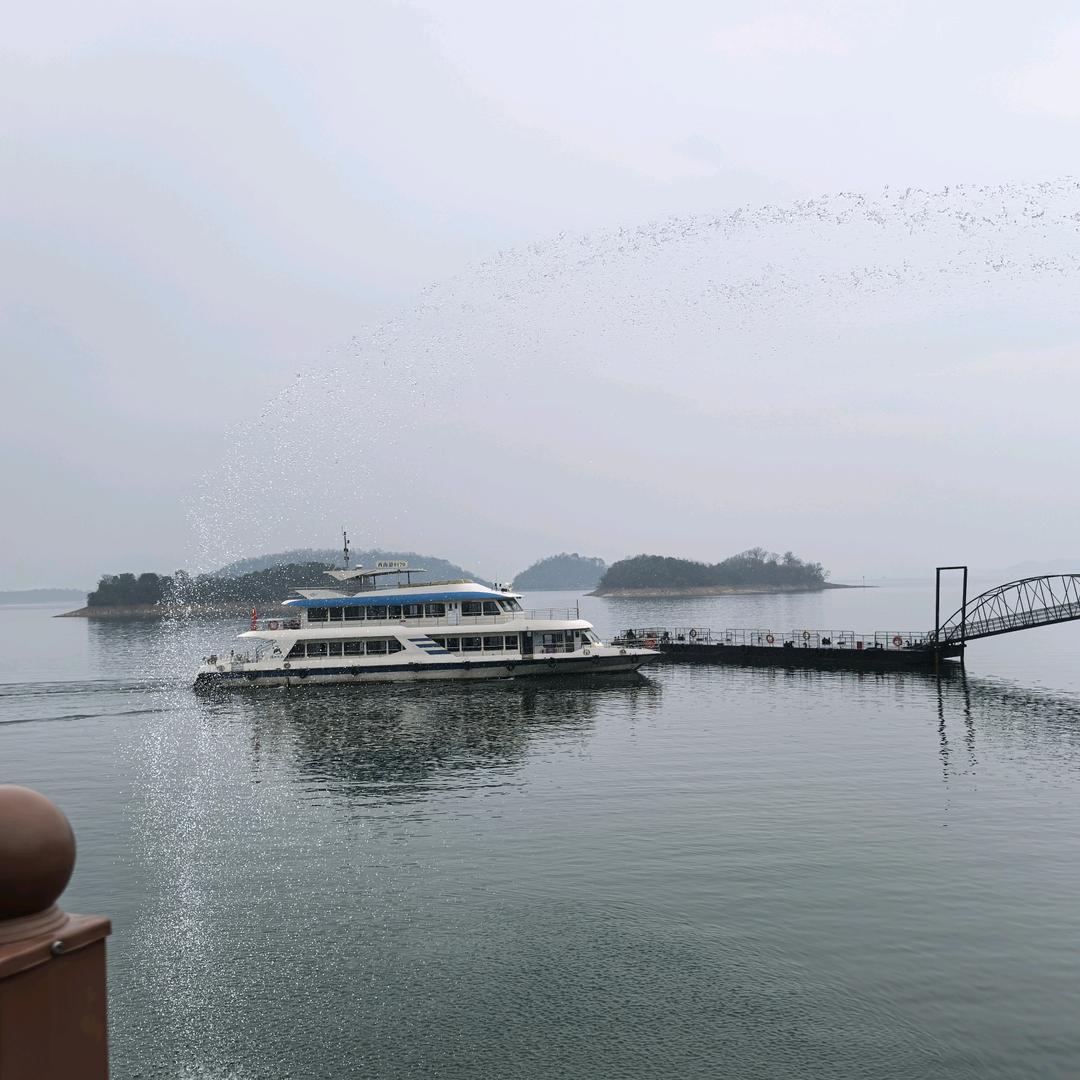 花花世界