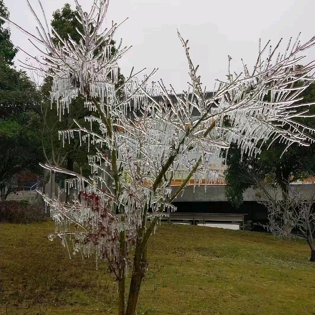 一生平安