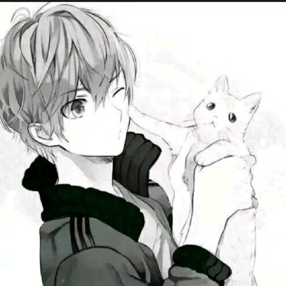 城南旧事城北凉