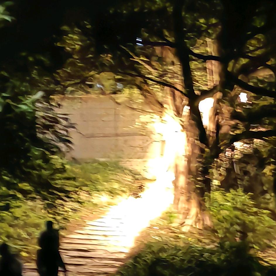 陈ll