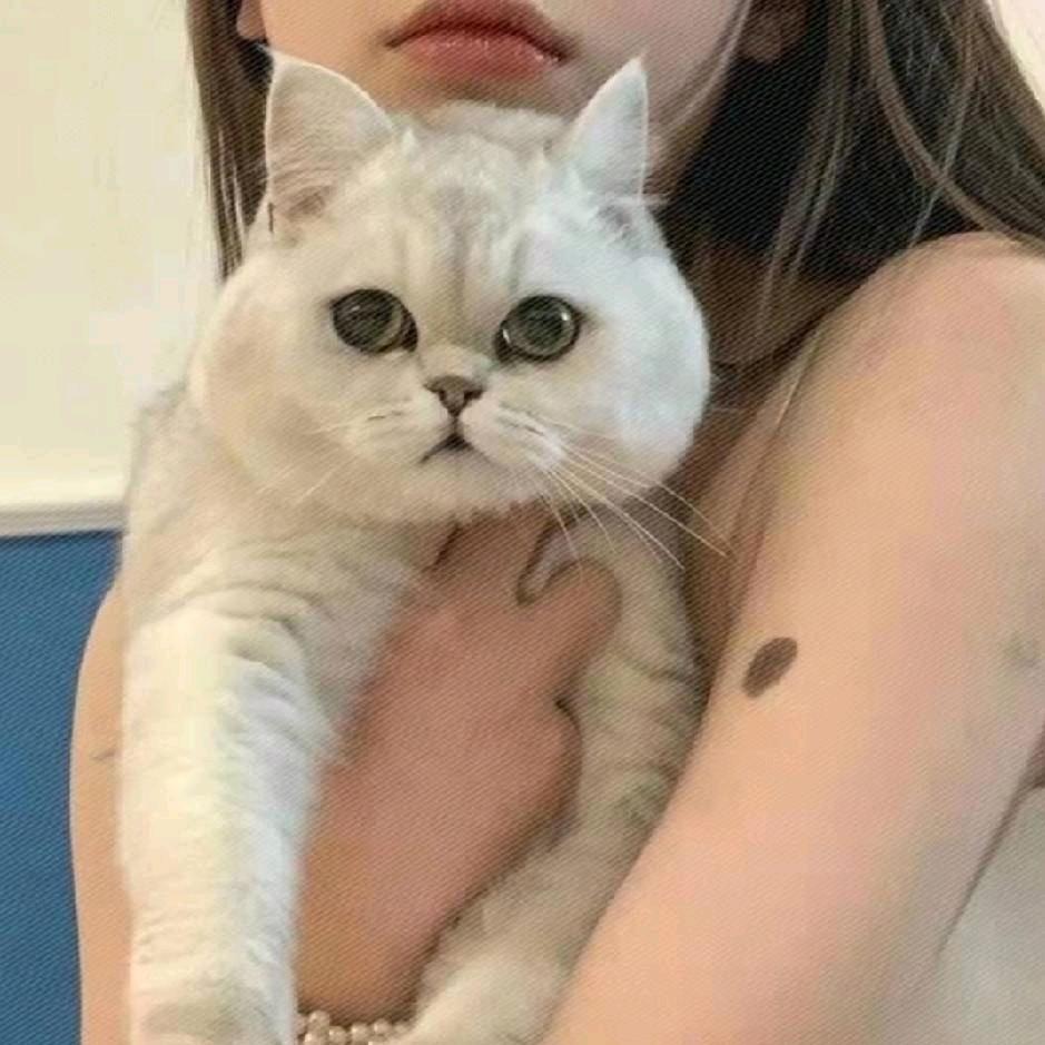 华浅