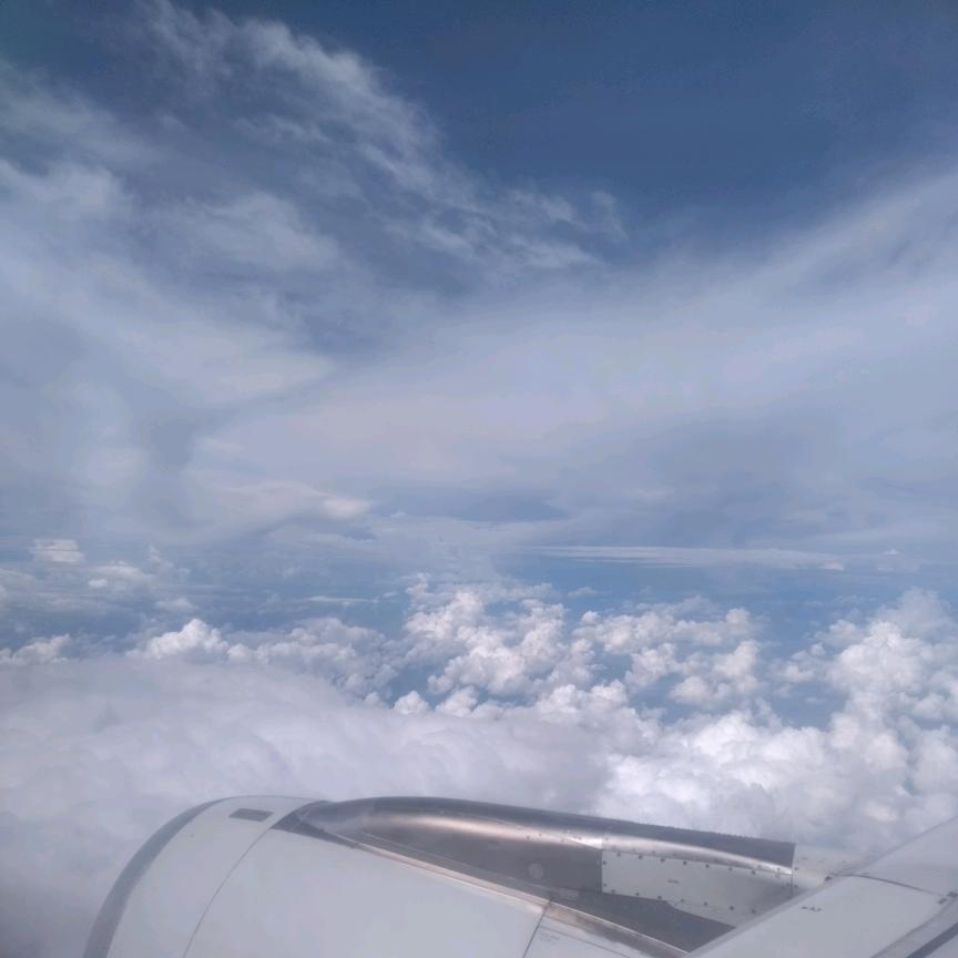 风起于青萍之末