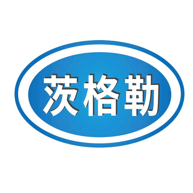 茨格勒仪器仪表