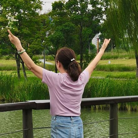 苹果