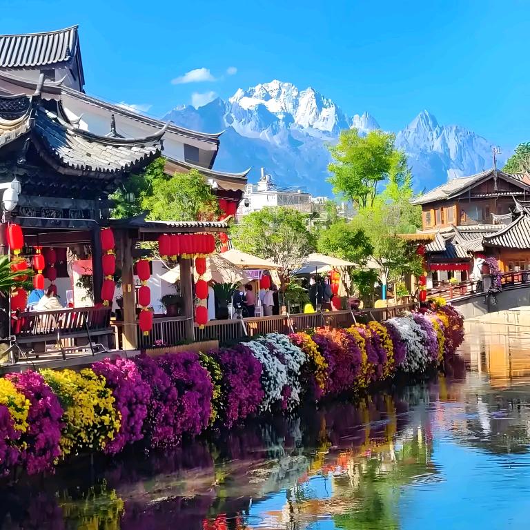 优享旅行（活动报名）