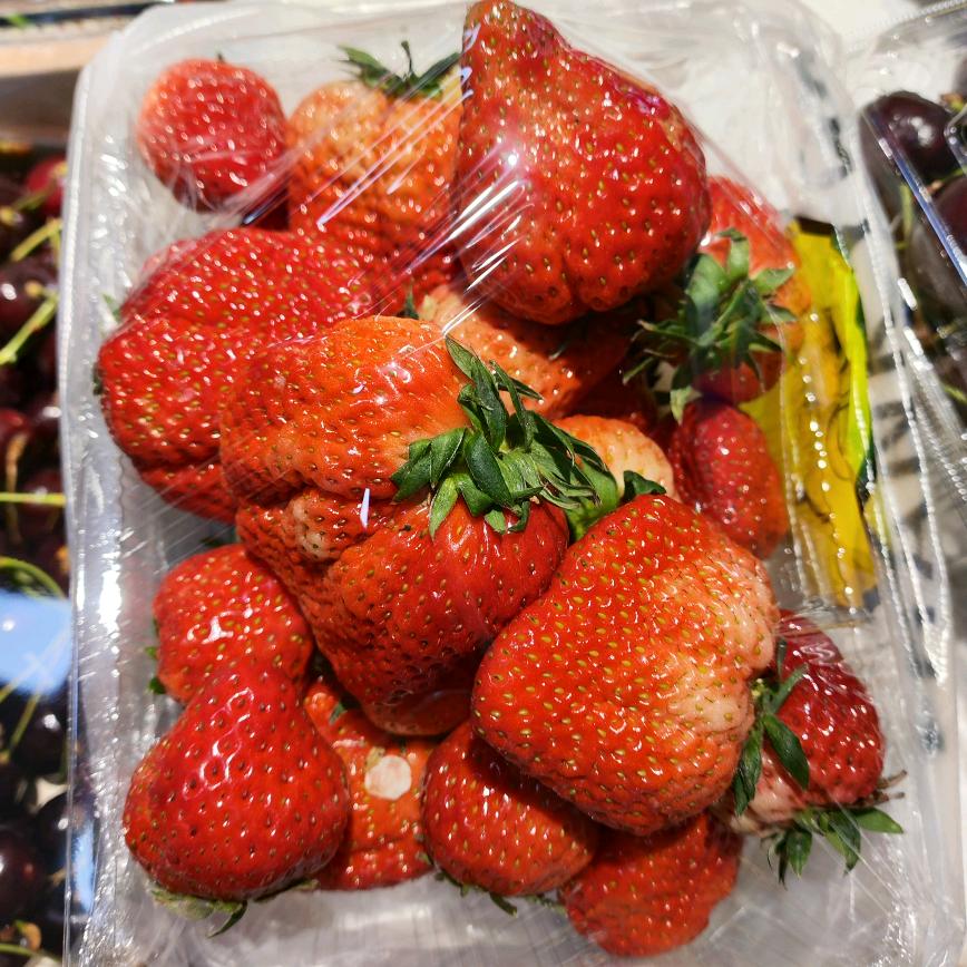 余生可贵，请别浪费