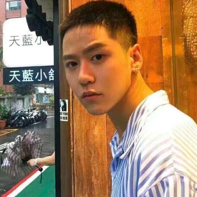 小熊跺跺脚