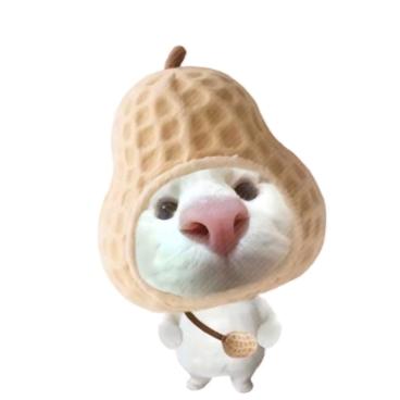 林西北