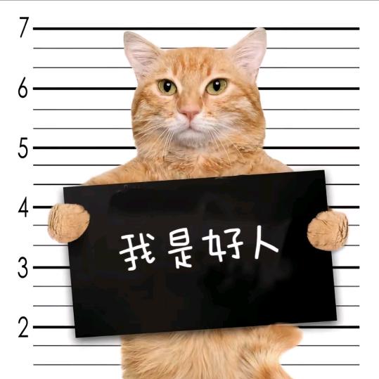板手 ～