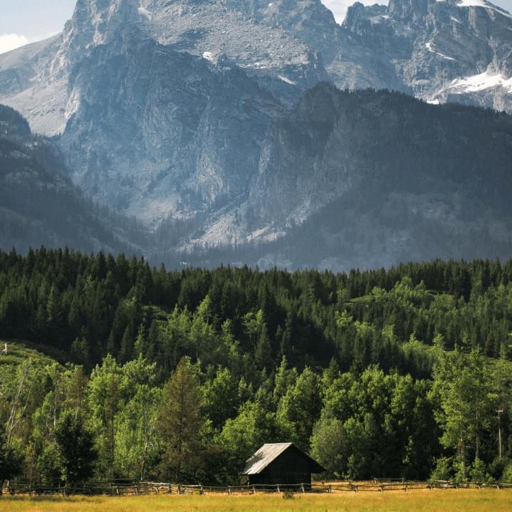 要么不开始，开始一辈子