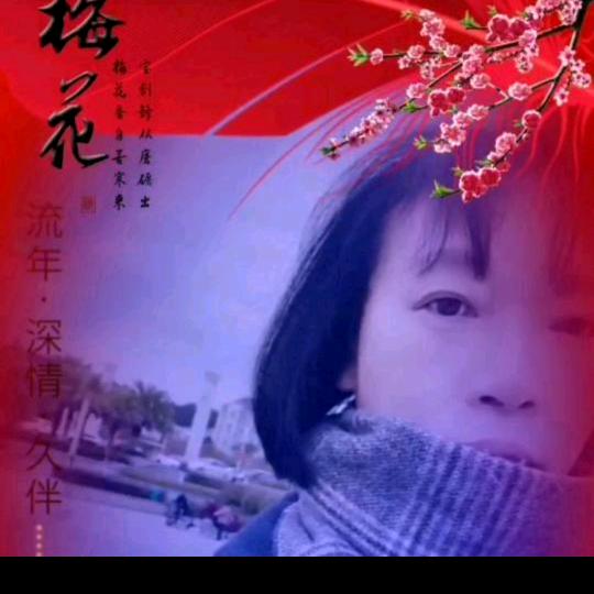 梅琳（江西抚州）