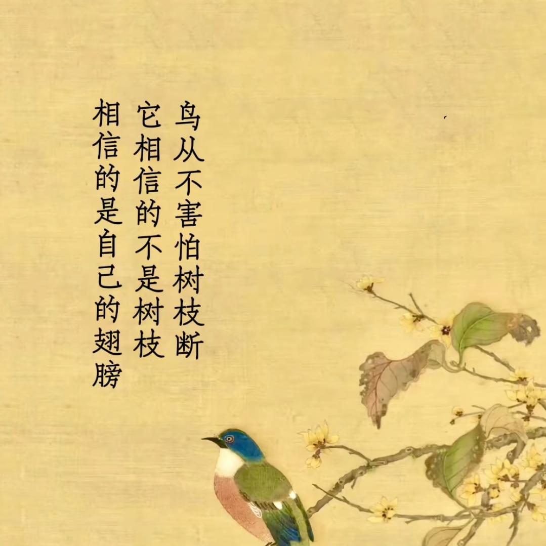 专注提升