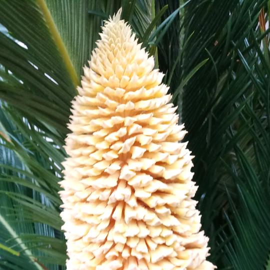 慢慢