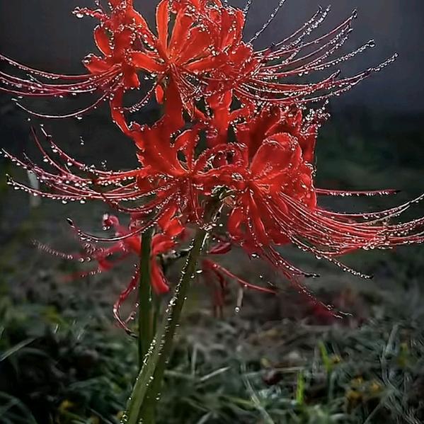 ✨一路向阳
