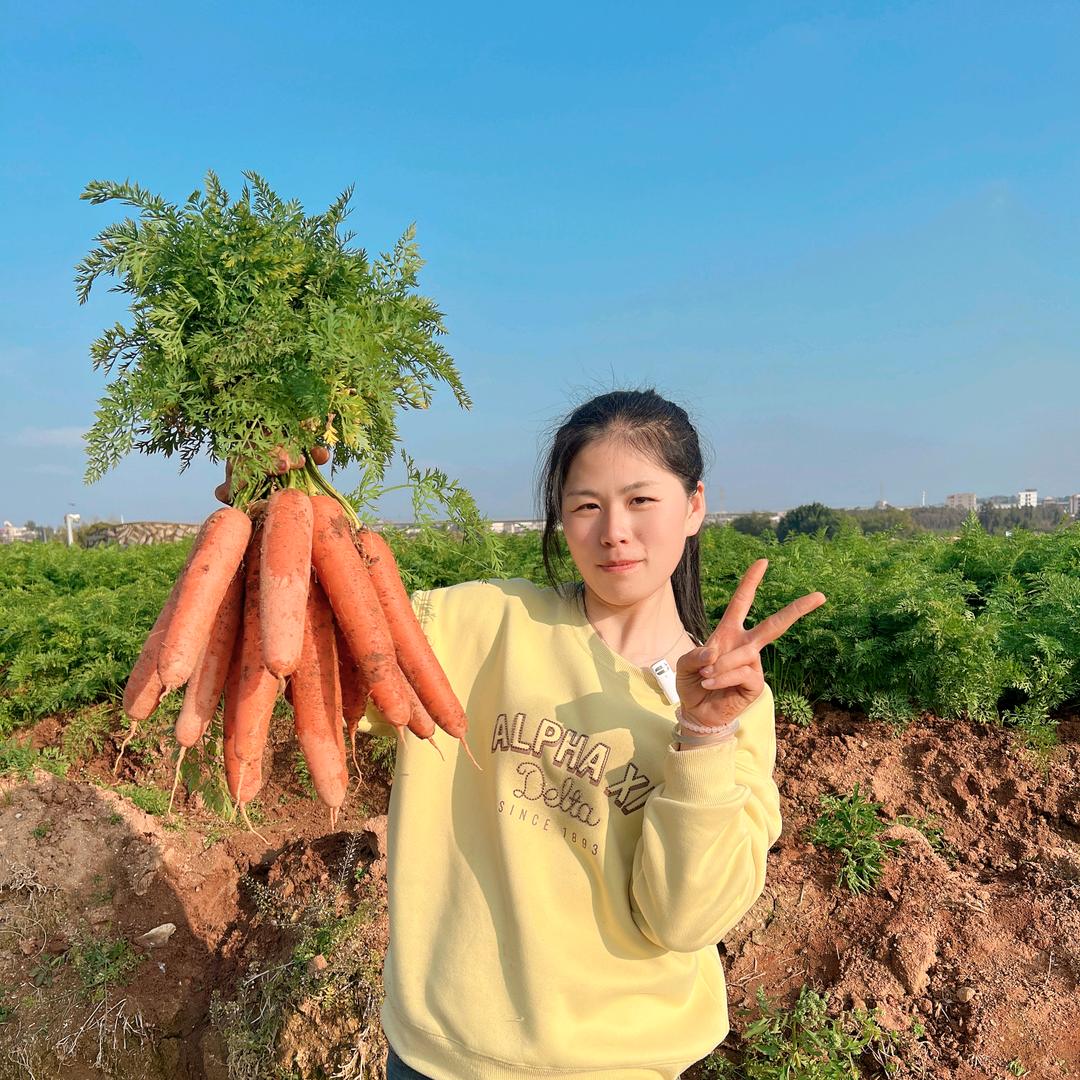 小娜蔬果产地供应链