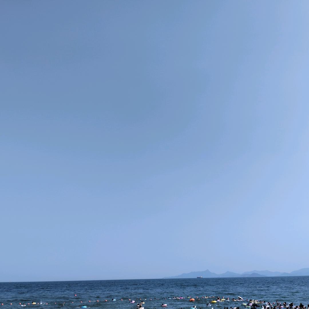 (❁´◡`❁)*✲ﾟ*