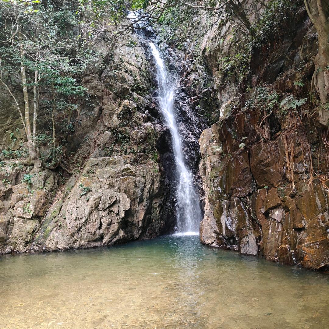 峰阳奇曲