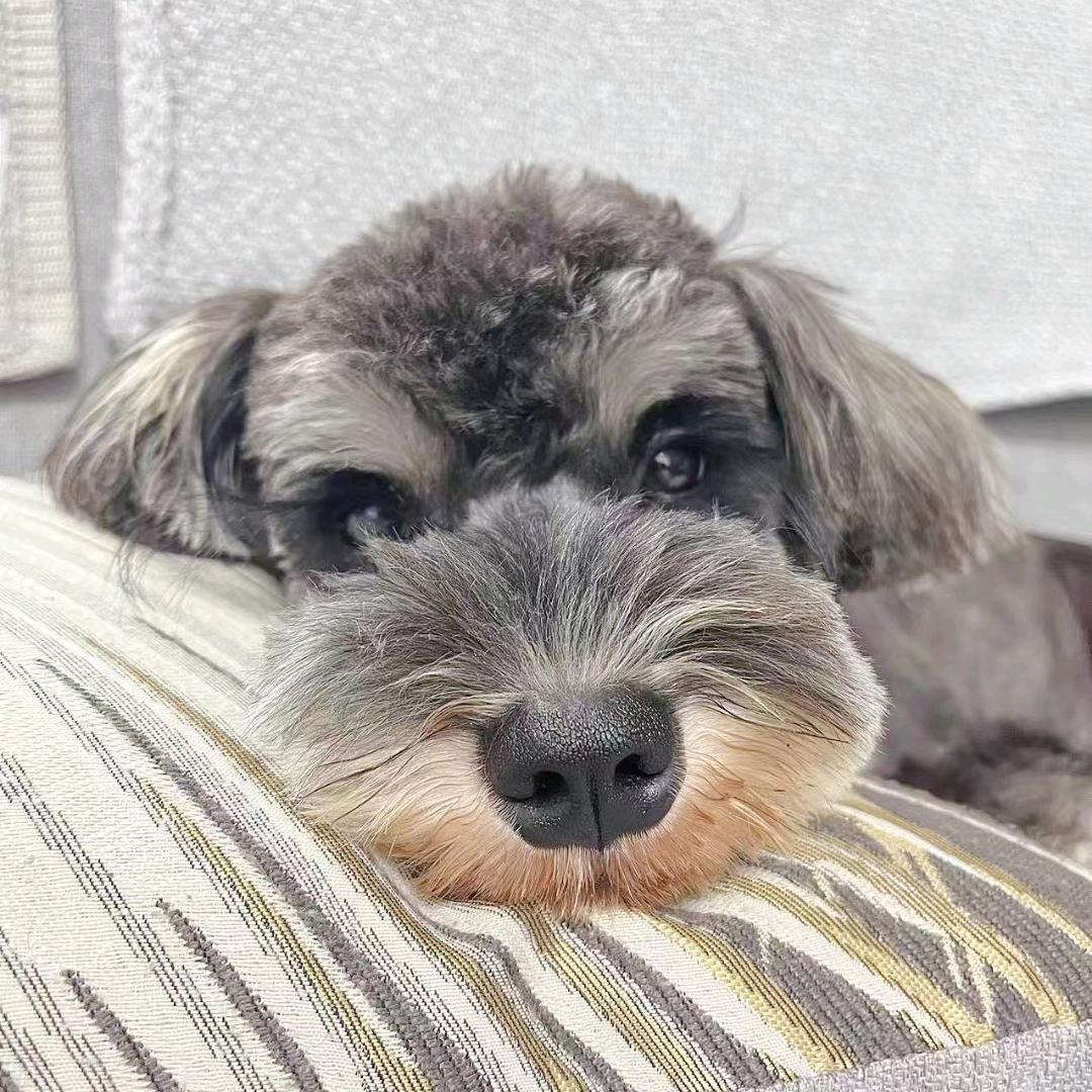 恩恩妈