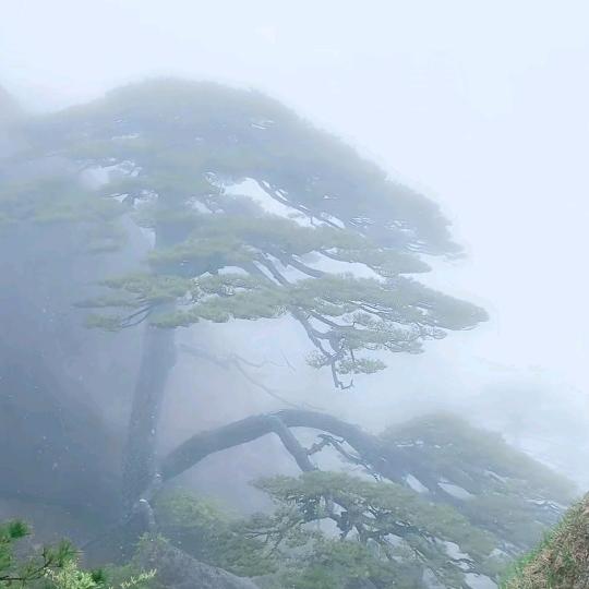 一生